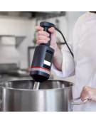 Mixer ad immersione professionale - Potenza 350 watt - Velocità variabile