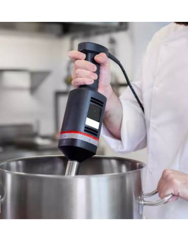 Mixer ad immersione professionale - Potenza 350 watt - Velocità variabile