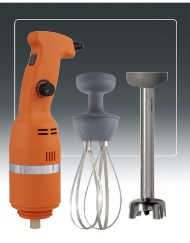 Mixer ad immersione con variatore di velocità + frusta e mescolatore in acciaio inox - potenza Watt 250 - rpm 2.500/ 15.000 Mixer ad immersione con variatore di velocità + frusta e mescolatore in acciaio inox - potenza Watt 250 - rpm 2.500/ 15.000