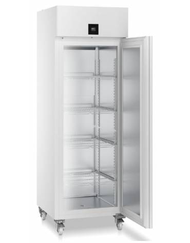 Armadio congelatore da laboratorio Lt. 601-Comando professionale