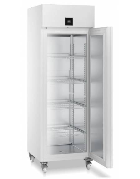 Armadio congelatore da laboratorio Lt. 601-Comando professionale