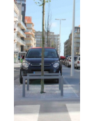 Salvapiante verticale alto per griglia salvapiante, realizzato in acciaio zincato e verniciato - cm L100x50h