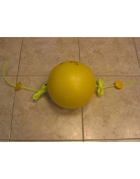 Pallone con elastici per spike