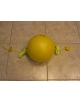 Pallone con elastici per per l'allenamento alla schiacciata