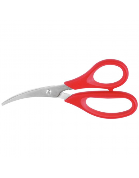 Forbice per gamberi, lame in acciaio inox - lunghezza cm 18