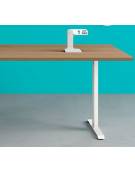 Scrivania operativa per ufficio con gambe a T da 100x80x73h-Colore piano:Bianco-Grigio-Noce-Olmo-Rovere chiaro-Rovere tabacco