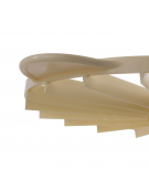 Segnaporzioni per torte in polipropilene - 20 porzioni - diametro Ø cm 26,5