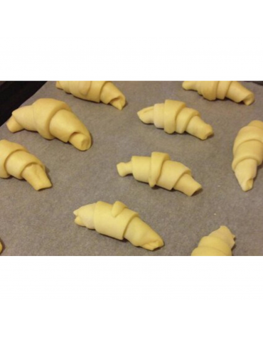 Carta da forno con rivestimento PTFE - cm 60x40