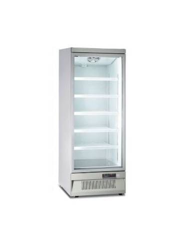 Armadio murale congelatore no-frost con porta a vetro, capacità Lt 560 - refrigerazione ventilata -18° -22°C  - cm 75x76x200,3h