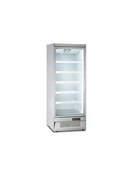 Armadio murale congelatore no-frost con porta a vetro, capacità Lt 560 - refrigerazione ventilata -18° -22°C  - cm 75x76x200,3h