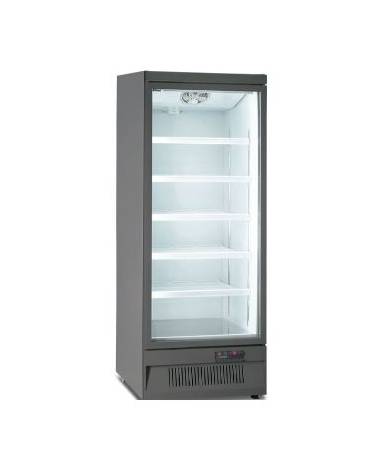 Armadio murale congelatore no-frost esterno grigio con porta a vetro - Lt 560-Refrigerazione ventilata -18°-22°C-cm 75x76x200,3h