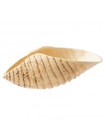 Piatto presentazione per sushi in bambù - cm 32x12x10h