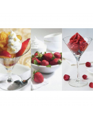 Sifone panna montata professionale in acciaio inox - capacità lt. 1