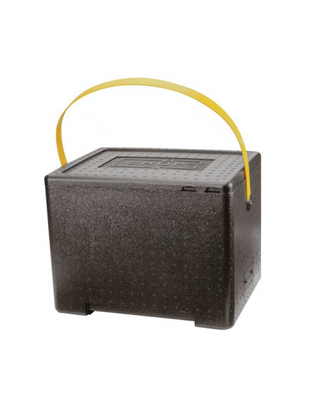 Contenitore isotermico in polipropilene - Capacità Lt. 21,6 - cm 41,5x32x32h