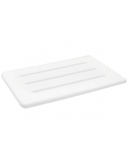 Piastra eutettica accumulatore di freddo per contenitore isometrico - temperatura 0/-21°C - cm 60x40x3h