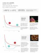 Abbattitore di temperatura in acciaio inox Aisi 304 N°14 teglie GN1/1 o 600x400 - Trifase - Cm 80x82,5x180h