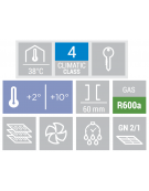 Armadio frigorifero bianco GN2/1 in ABS - refrigerazione Roll-Bond con ventilatore +2°/+10°C - Classe D - cm 78x73x189h