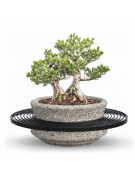 Panchina con seduta acciaio zincato verniciato e fioriera centrale in cemento colore Grigio sabbiato - Diametro esterno cm 200