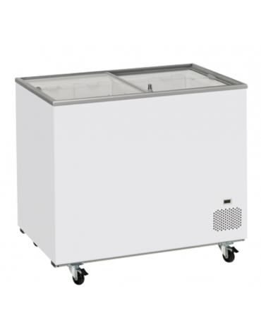 Congelatore a pozzetto con top in vetro scorrevole Rea, 2 cesti, capacità Lt 300 - refrigerazione statica - cm 101,4x63,5x86,3h