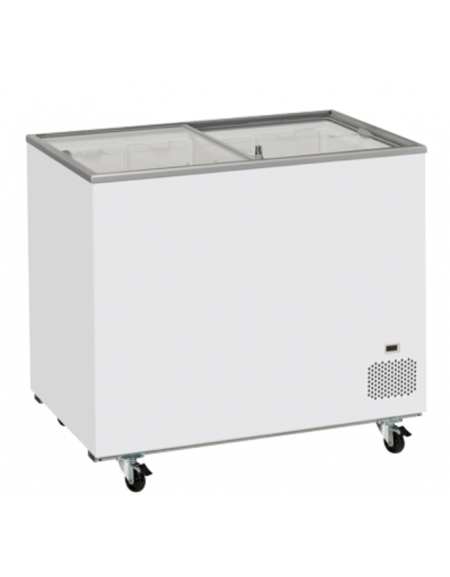 Congelatore a pozzetto con top in vetro scorrevole Rea, 2 cesti, capacità Lt 300 - refrigerazione statica - cm 101,4x63,5x86,3h