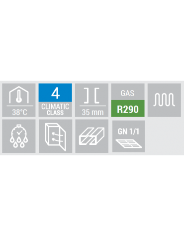 Saladette refrigerata GN1/1 inox 2 sportelli con top apribile, rubinetto e 9 vaschette GN 1/6 in PVC - cm 90x70x138,5h