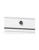 Armadio frigorifero GN2/1 in ABS - colore acciaio - refrigerazione Roll-Bond con ventilatore +2°/+10°C - cm 78x73x189h