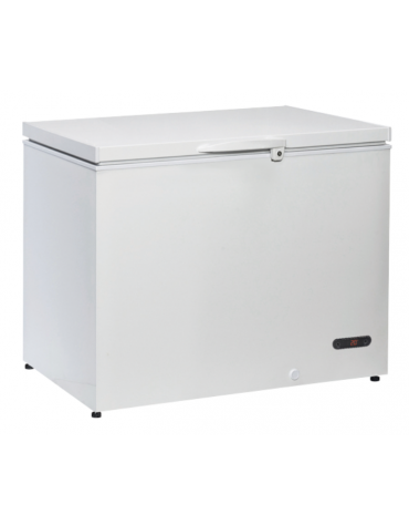 Congelatore a pozzetto 2 cesti - capacità Lt 304 - refrigerazione statica -20°/+10°C - cm 103,5x75x85h