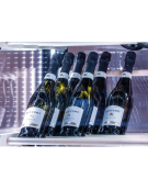 Vetrina refrigerata per esposizione vino, ventilata +0°/+20°C - ripiani in legno - 66 bottiglie - Classe A - cm 70x65x190h