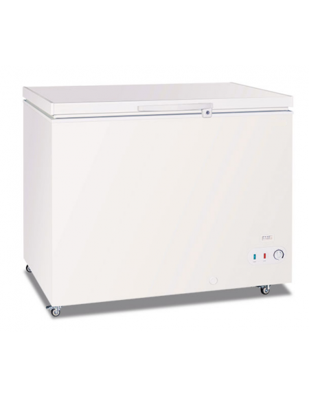 Congelatore a pozzo statico con porta cieca battente - Lt 304 - temp. -23°/-10°C - Classe D - cm 103,5x75x88h