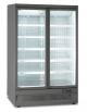 Armadio murale congelatore no frost a doppia porta a battente - colore esterno grigio - temp. -22°/-18°C - cm 125,3x76x200,3h