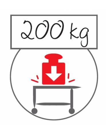 Carrello inox AISI 304 per trasporto pesante - 2 piani stampati cm 100x60, saldati - Portata complessiva Kg 200 - cm 109x69x95h