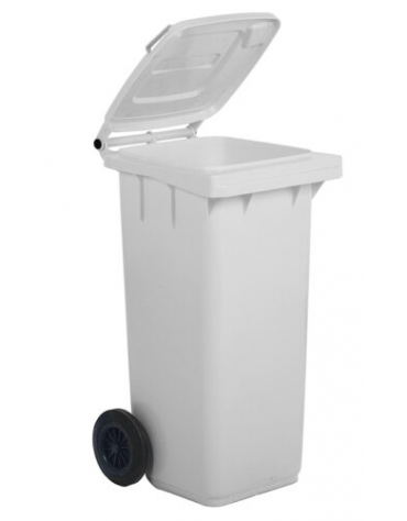 Pattumiera per raccolta differenziata - Contenitore in polietilene - Litri 120 - Ruote cm 20 - cm 55x49x93h