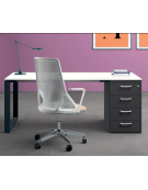 Scrivania operativa piano melaminico spessore mm 30, struttura metallica e cassettiera portante Dx/Sx - cm 160x80x74,5h