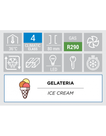 Armadio induritore per gelato in acciaio Inox  - temperatura -35°/-30°C - capacità 42 vaschette Gn 1/3  -cm 79x93x206,5h