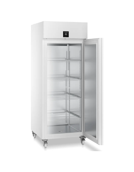 Armadio congelatore da laboratorio Lt. 871 - Temperatura da -9° a -35°C-Conforme alla DIN 13277 -  cm 78,7x101,7x213,5h 