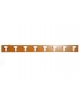 Attaccapanni A Parete 8 Posti - cm.160x15H