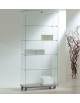 Vetrina verticale in cristallo temperato - senza luci - base in legno colore Silver , Wenge' o Ciliegio - cm 80x40x180h