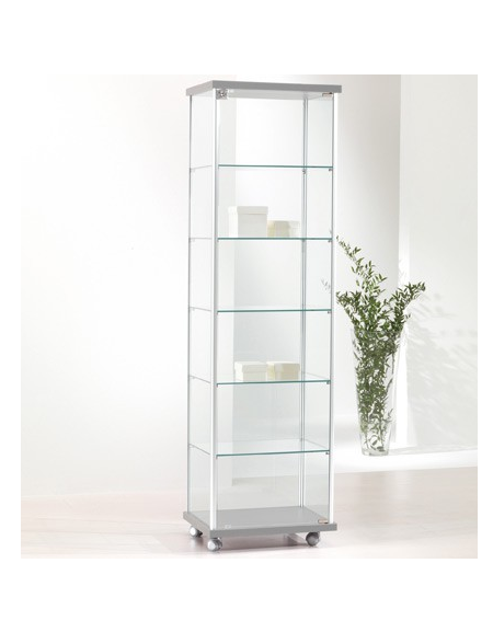 Vetrina con montanti in alluminio - profondità cm 39 - senza luci - cm 53 x 39 x 183h