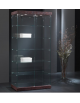 Vetrina cristalli temperati - rivestimento in ecopelle - interno base a specchio-4 faretti a led-cm 93x53x200h