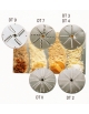 Disco DT9 per sfilacciare mozzarella da mm. 9