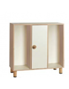 CONTENITORE MOBILE CON 1 ANTA CENTRALE COLORATA E 2 VANI GIORNO LATERALI SENZA RIPIANI - CM 105x41x100h - CONFORME AI CAM