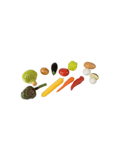 SET VERDURE GIOCO 10 Pz