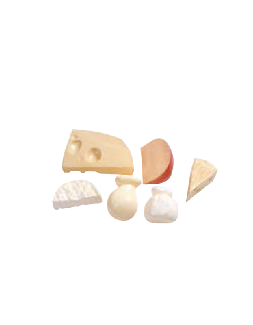 SET FORMAGGI GIOCO 6 Pz