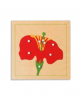 INCASTRO DEL FIORE - MONTESSORI