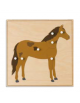 INCASTRO DEL CAVALLO - MONTESSORI