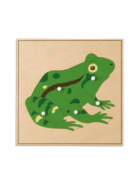PUZZLE DEGLI ANIMALI: RANA - MONTESSORI