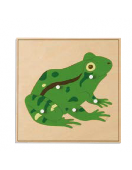 PUZZLE DEGLI ANIMALI: RANA - MONTESSORI