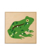 PUZZLE DEGLI ANIMALI: RANA - MONTESSORI