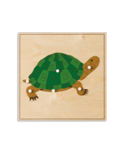 PUZZLE DEGLI ANIMALI: TARTARUGA - MONTESSORI