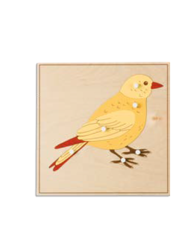 PUZZLE DEGLI ANIMALI: UCCELLO - MONTESSORI